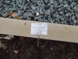 image of grave number 569262